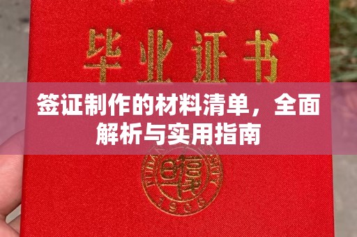 文登签证制作的材料清单，全面解析与实用指南