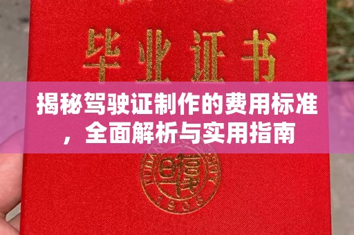 文登揭秘驾驶证制作的费用标准，全面解析与实用指南