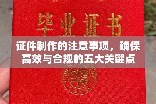 文登证件制作的注意事项，确保高效与合规的五大关键点